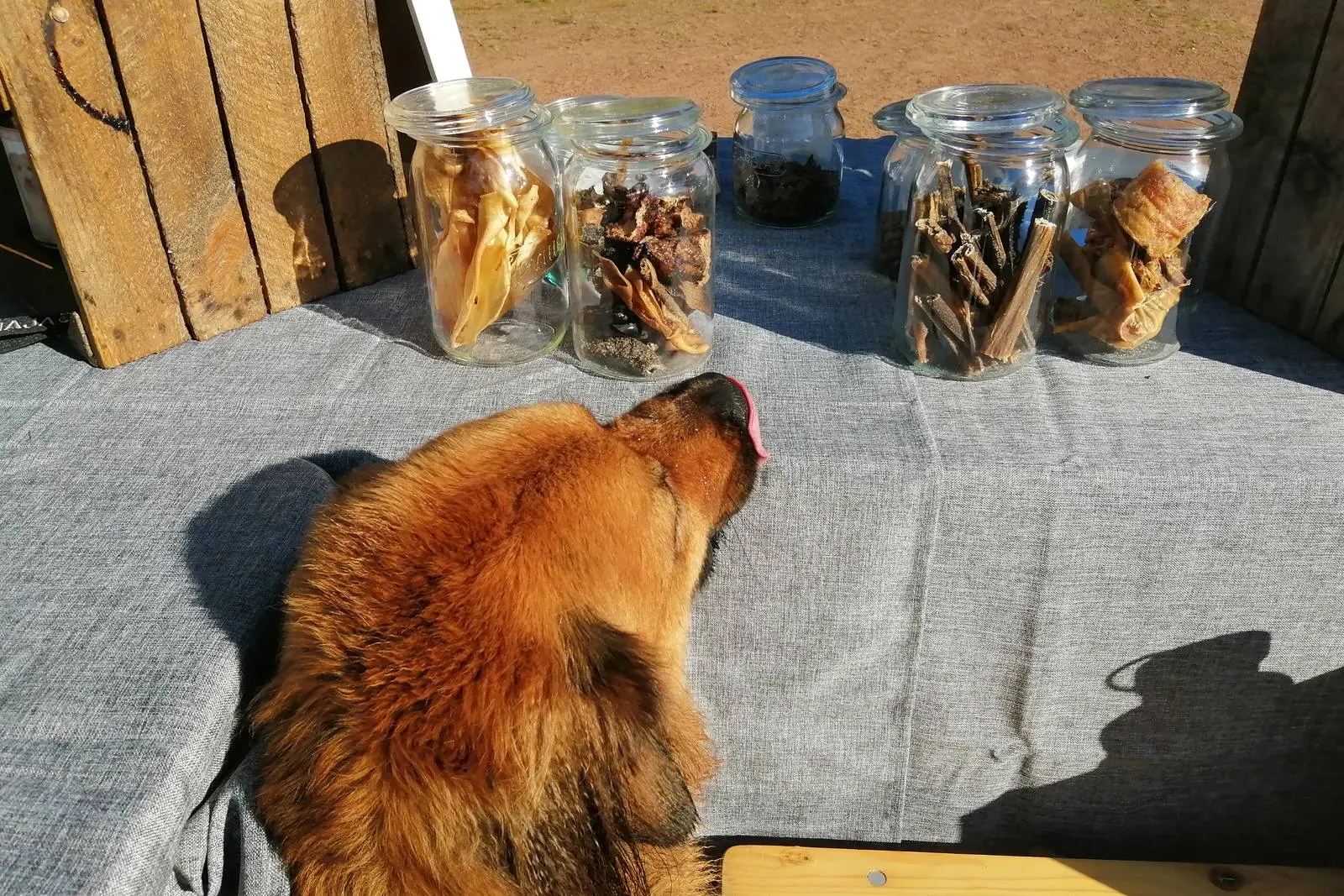 Unsere Themen - 3 = Ernährungsberatung Ernährungsberatung - mehrere Gläser mit gesunden Leckerli